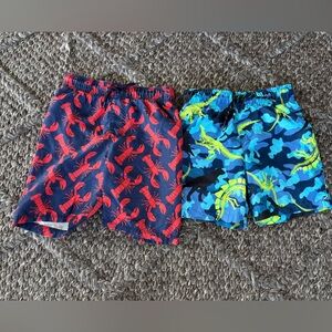 Boys XS 4T/5T 4 5 swim shorts trunks bathing suit